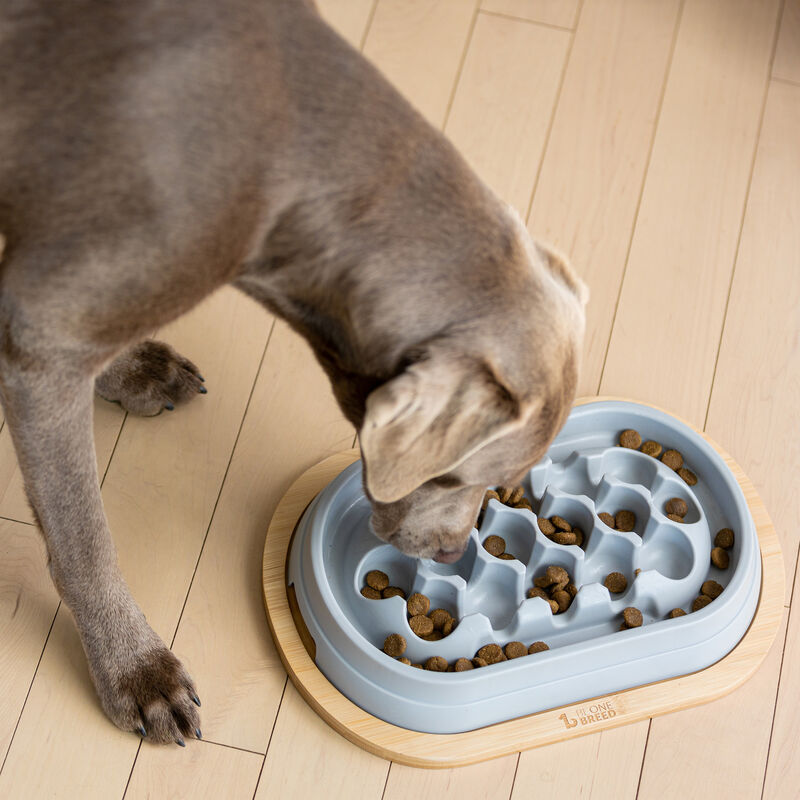 BeOneBreed, Oval Plastic Slow Feeder - Gray image number null