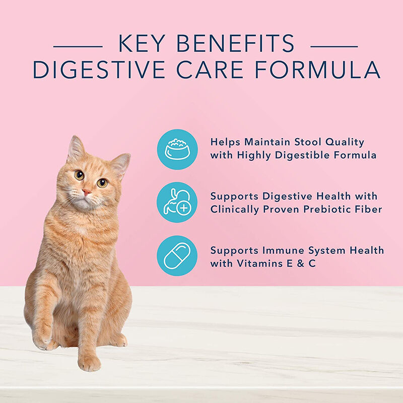 Blue Buffalo, Can, Feline Adult - True Solutions - Digestive Care - Wet Cat Food image number null