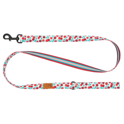 RC Pets, Eco Leash - Cherry Picnic - 1"x5'