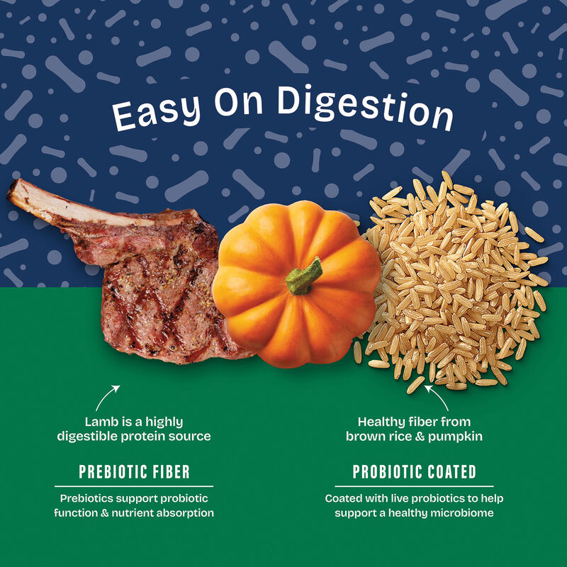 Natural Balance, Health Protection - Real Lamb, Brown Rice & Pumpkin Recipe - Dry Dog Food image number null