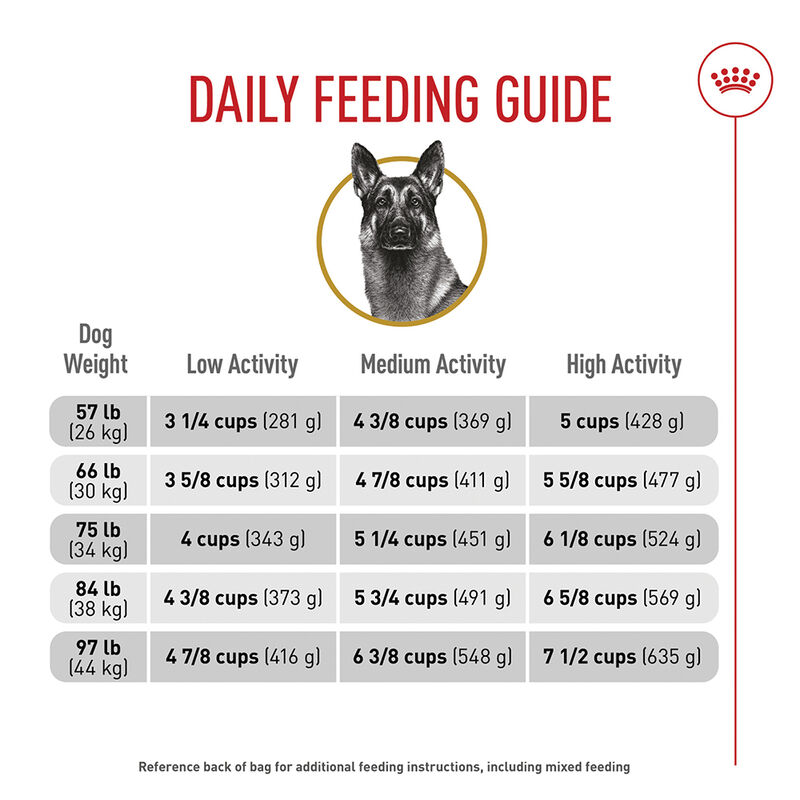 Royal Canin, Breed Health Nutrition German Shepherd Adult - Dry Dog Food image number null