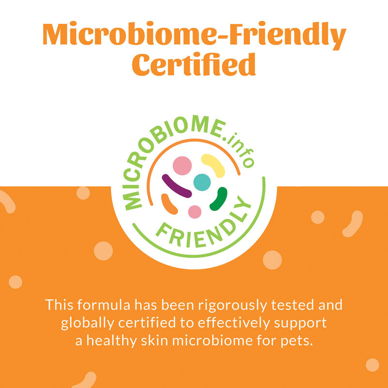 Skouts Honor, Probiotic ShampooPlusConditioner-Honeysuckle-16 oz image number null