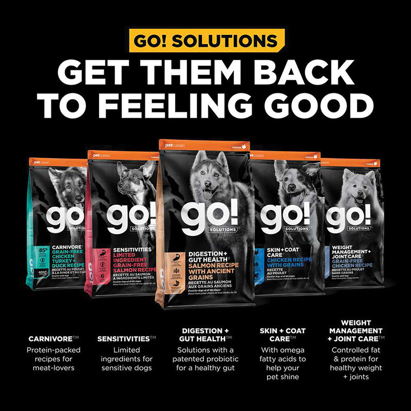 GO! SOLUTIONS, Adult - Digestion & Gut Health - Salmon w/ Ancient Grains - Dry Dog Food image number null