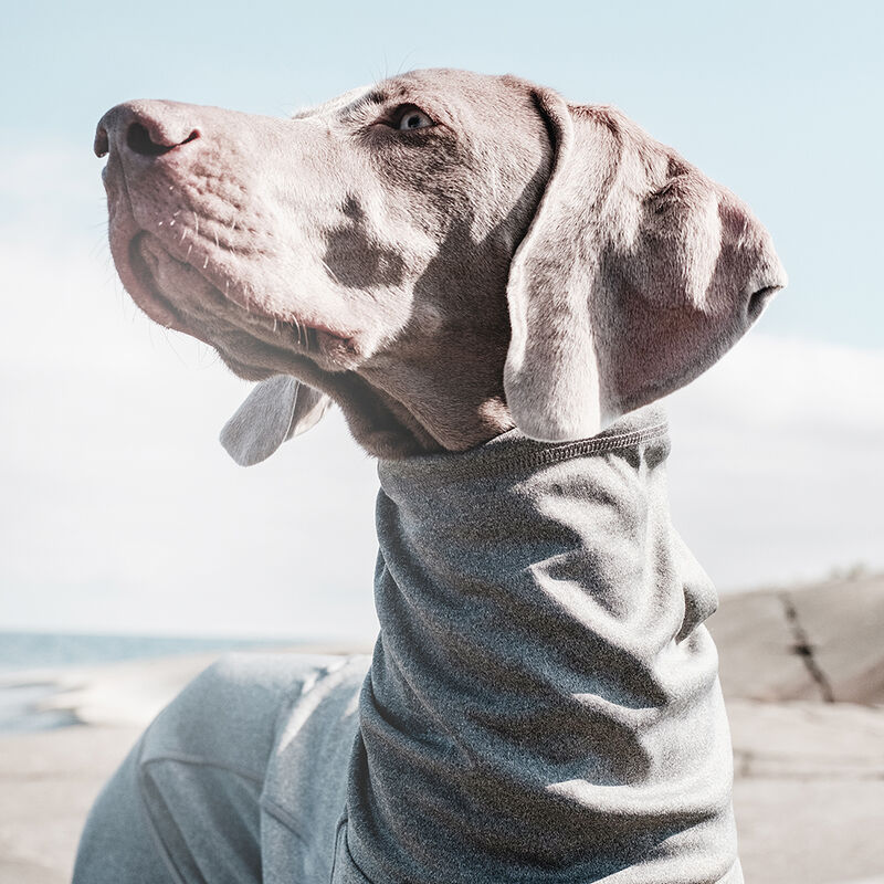 Hurtta, Body Warmer - Carbon Grey image number null