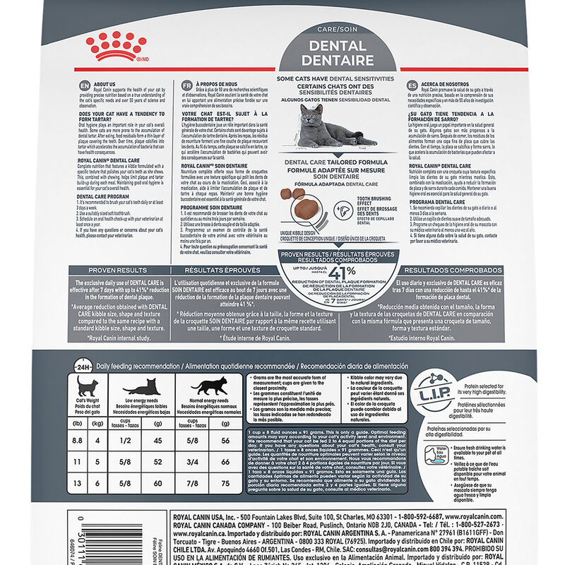 Royal Canin, Feline Care Nutrition - Dental Care - Dry Cat Food image number null