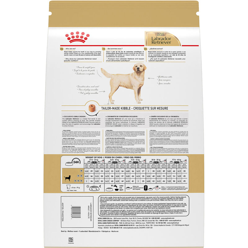 Royal Canin, Breed Health Nutrition Labrador Retriever Adult - Dry Dog Food image number null