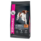 Eukanuba, Adult - Medium Breed - 13.6 kg - Dry Dog Food image number null