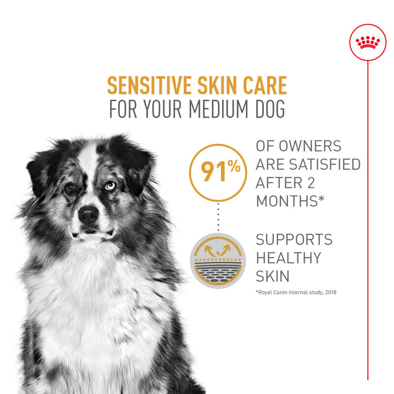 Royal Canin, Size Health Nutrition Medium Sensitive Skin Care - Dry Dog Food image number null