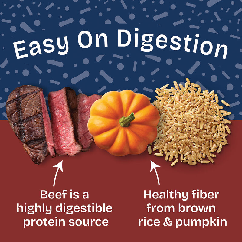 Natural Balance, Health Protection - Beef & Pumpkin Stew - Wet Dog Food image number null