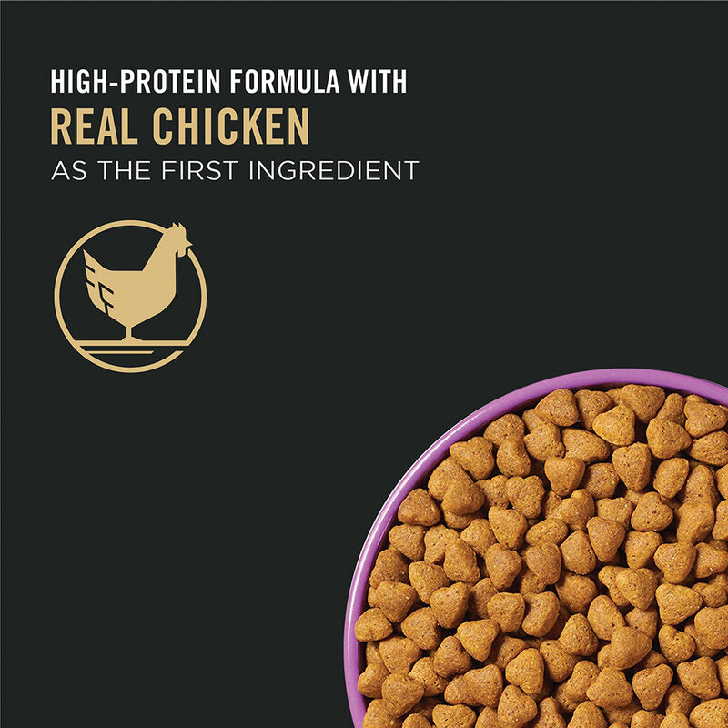 Pro Plan, Sport Performance 30/20 Formula Dry Dog Food 17 kg - Dry Dog Food image number null