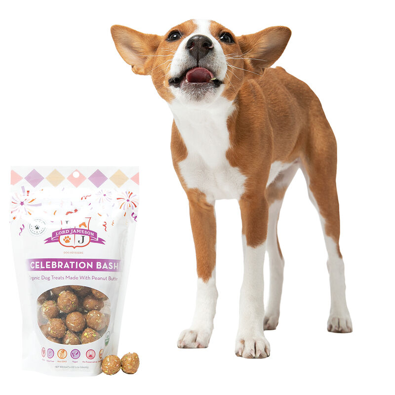 Lord Jameson, Celebration Bash - 170 g Dog Treats image number null
