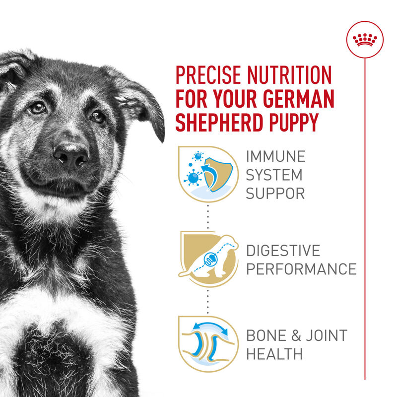 Royal Canin, Breed Health Nutrition German Shepherd Puppy - Dry Dog Food image number null