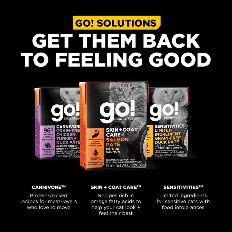 GO! SOLUTIONS, SKIN + COAT CARE Salmon PÃ¢tÃ© for cats image number null