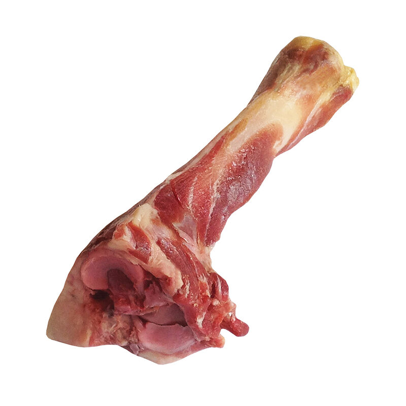 Dogit, Charcuterie, Italian Prosciutto Bone image number null