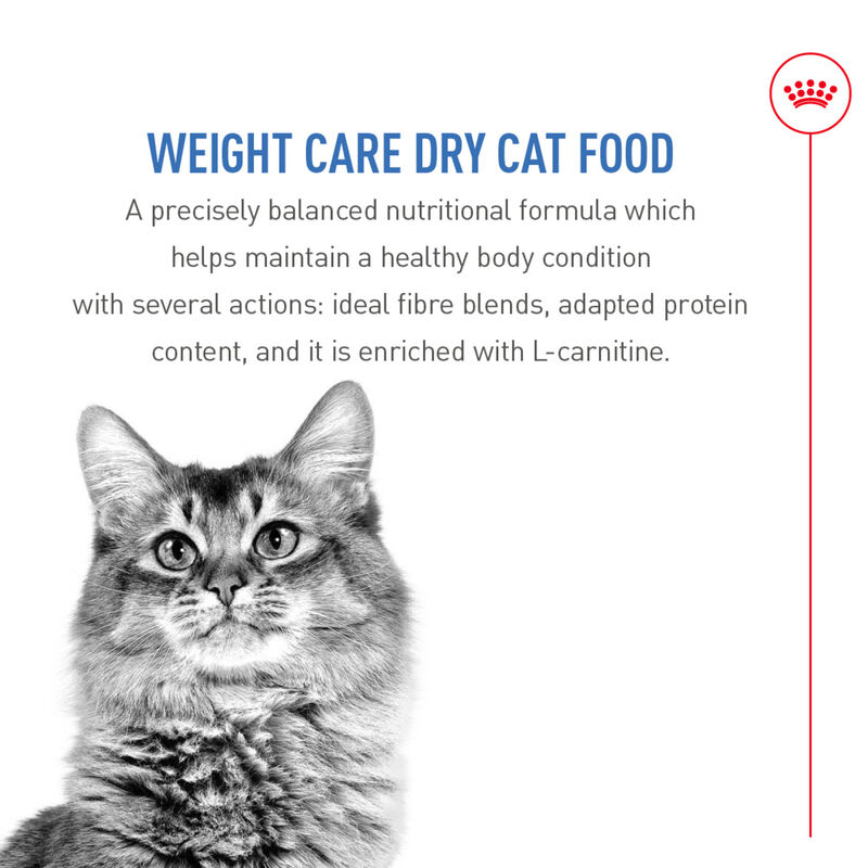 Royal Canin, Feline Care Nutrition Weight Care Adult Dry Food - Dry Cat Food image number null