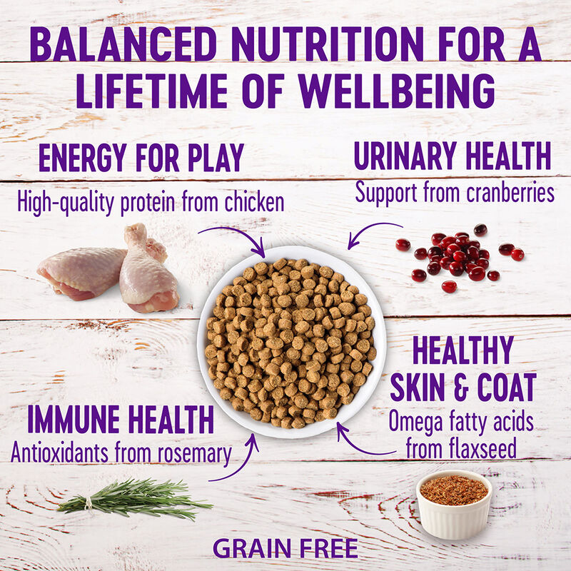 Wellness, Feline Adult - GF Complete Health - Chicken - Dry Cat Food image number null