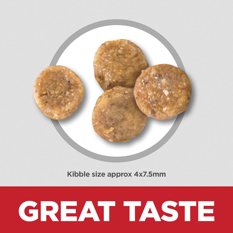 Science Diet, Adult Sensitive Stomach & Skin Small & Mini Chicken Recipe Dry Dog Food - Dry Dog Food image number null