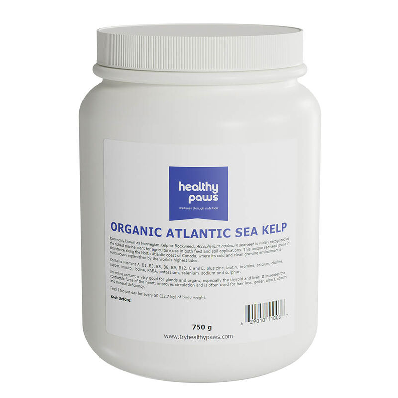Healthy Paws, Organic Atlantic Sea Kelp - 750 g image number null