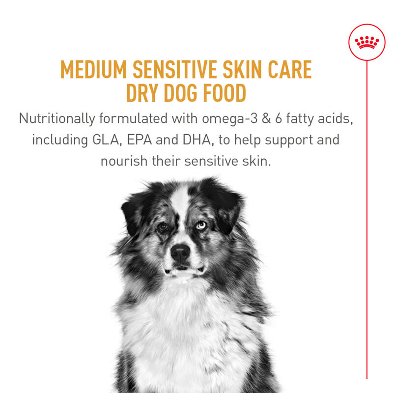 Royal Canin, Size Health Nutrition Medium Sensitive Skin Care - Dry Dog Food image number null