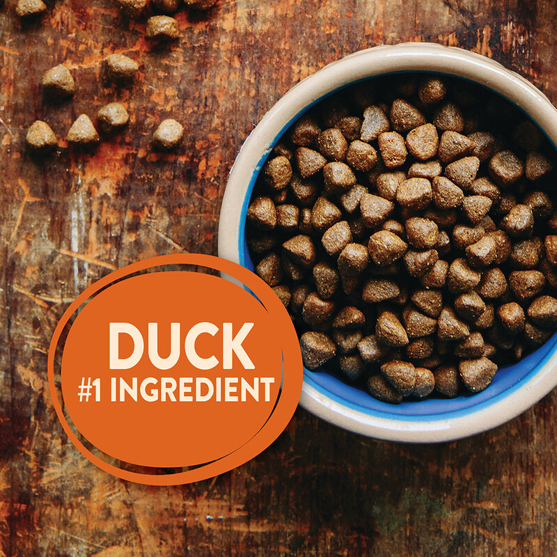 Wellness, Core, Grain Free Wild Game - 9.98 kg - Dry Dog Food image number null