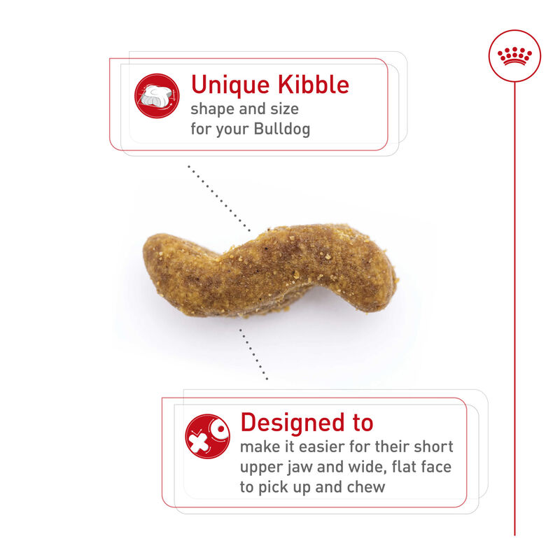 Royal Canin, Breed Health Nutrition Bulldog Adult - Dry Dog Food image number null