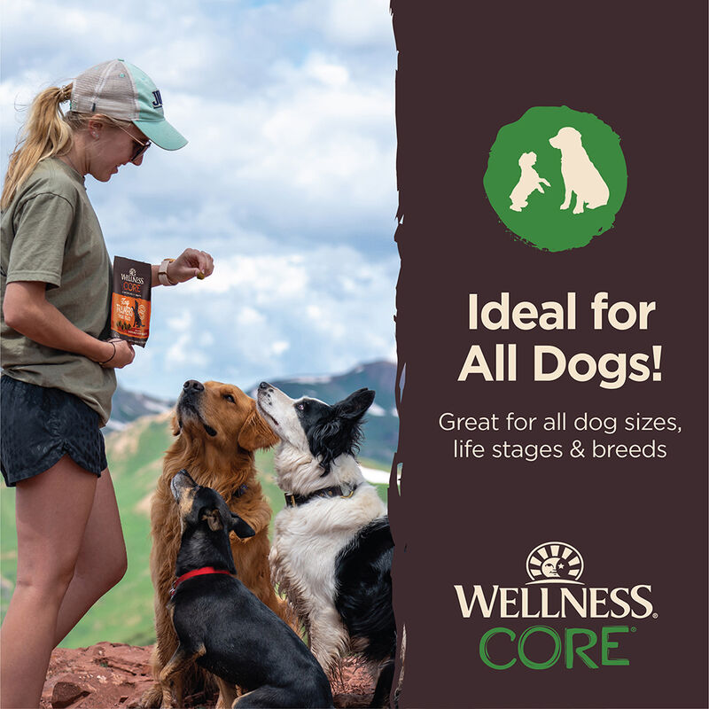 Wellness, Core - Tiny Tasters GF Treats - Lamb & Apple - 170 g - Dog Treat image number null