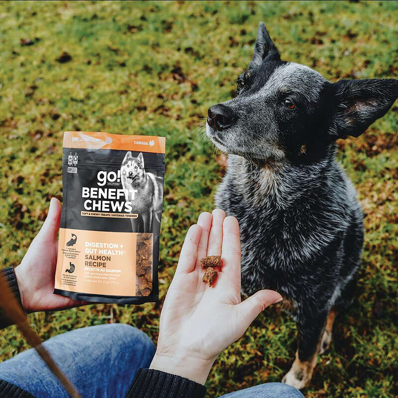 Go! Solutions,Benefit Chews - Digestion + Gut Health Salmon Dog Treats - 170 g image number null
