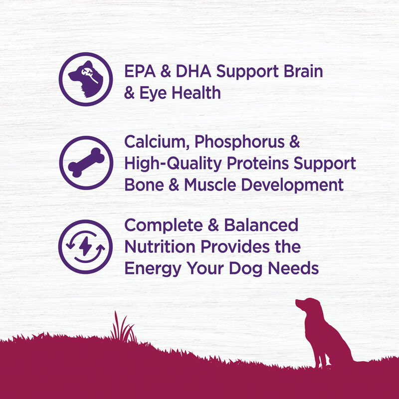 Wellness, Complete Health Small Breed, Puppy Turkey, Oatmeal & Salmon - 4 lb - Dry Dog Food image number null