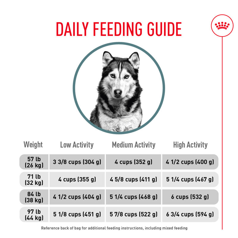 Royal Canin, Size Health Nutrition Large Joint Care - Dry Dog Food image number null