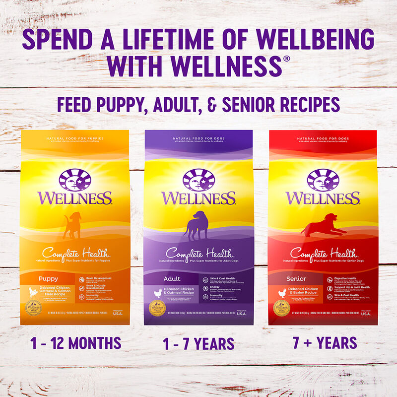 Wellness, Puppy Large Breed - Chicken, Salmon & Brown Rice - 13.6kg - Dry Dog Food image number null