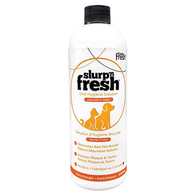 Slurp N Fresh, Mature Dog - 400 ml