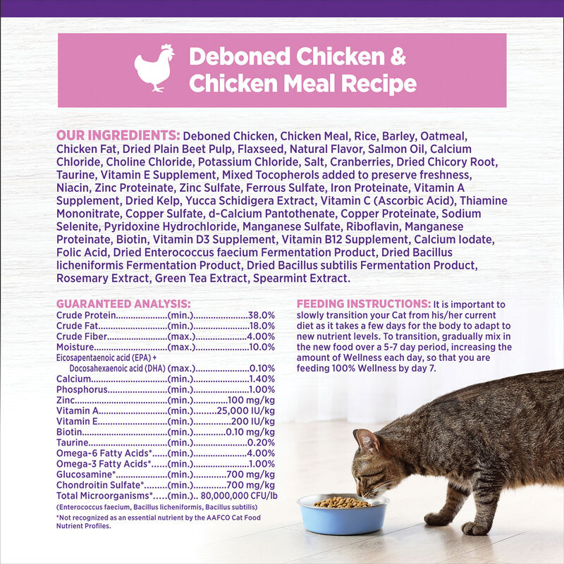 Wellness, Complete Health Kitten Chicken & Rice - 2.27 kg - Dry Cat Food image number null