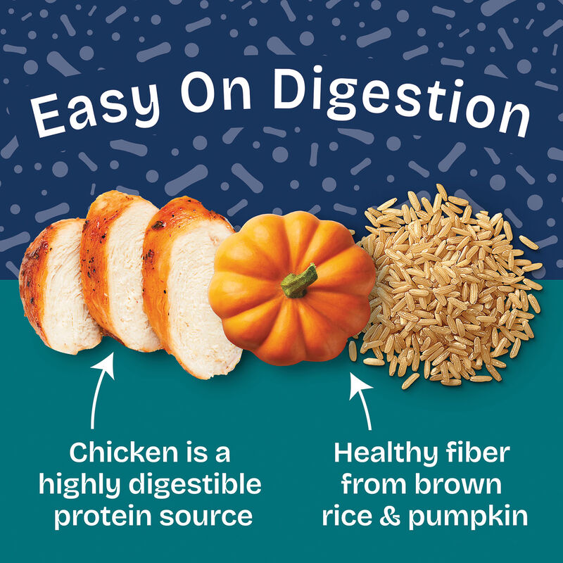 Natural Balance, Health Protection - Chicken & Pumpkin Stew - Wet Dog Food image number null