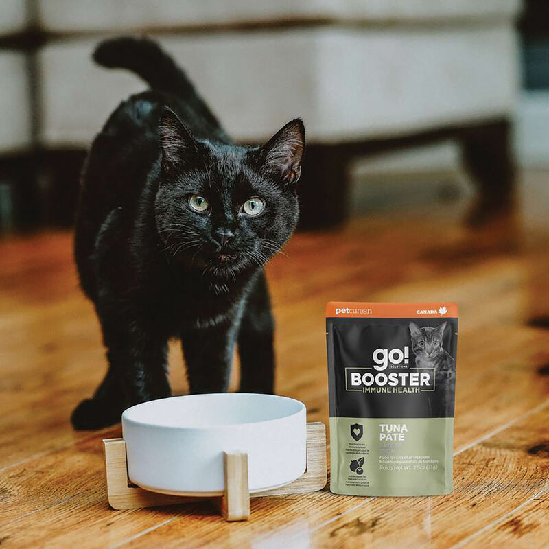 GO! SOLUTIONS,  BOOSTER Immune Health Tuna Pate - 71 g - Wet Cat Food image number null