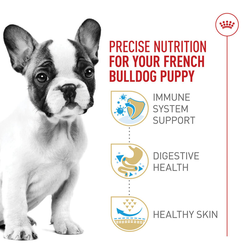 Royal Canin, Breed Health Nutrition French Bulldog Puppy 3LBS - Dry Dog Food image number null