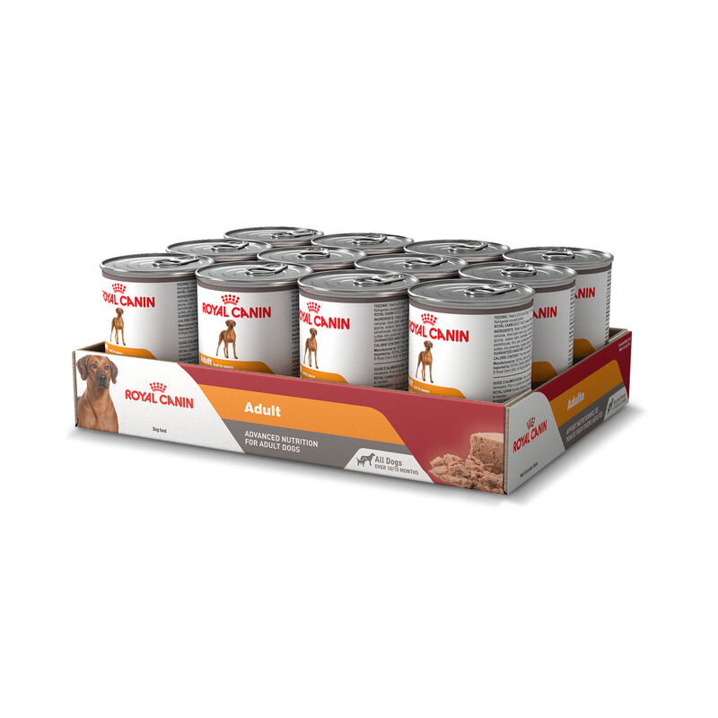 Royal Canin, Canine Health Nutrition Adult Loaf in Sauce - Wet Dog Food image number null
