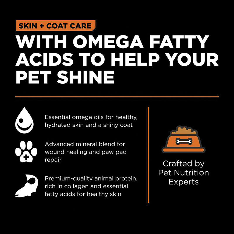 GO! SOLUTIONS SKIN + COAT CARE Salmon Recipe for dogs image number null