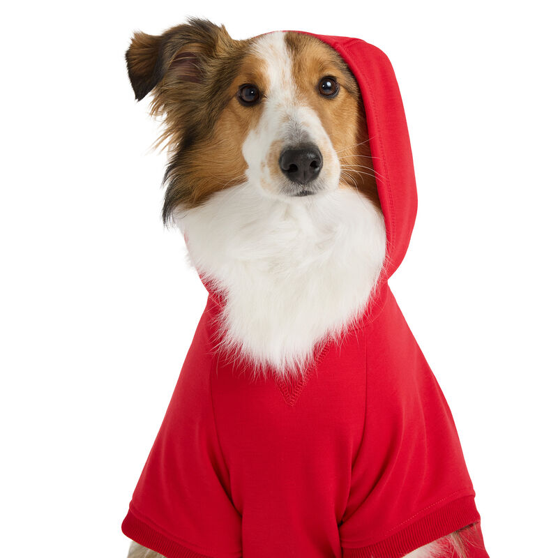 Nautica Hoodie - Red  image number null