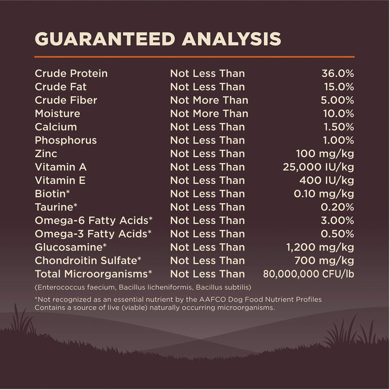 Wellness, Core, Grain Free Small Breed - Dry Dog Food image number null