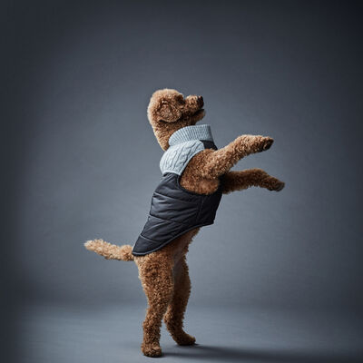 Hotel Doggy, Nordic Vest - Black - Dog Coat