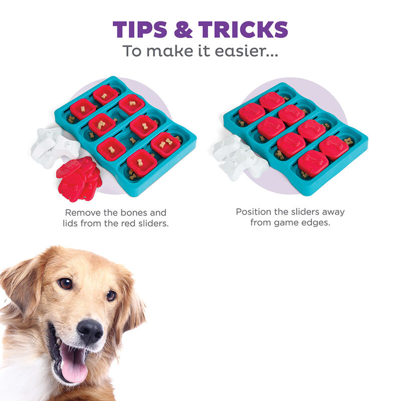 Outward Hound, Nina Ottosson, Dog Brick Treat Puzzle - Blue image number null