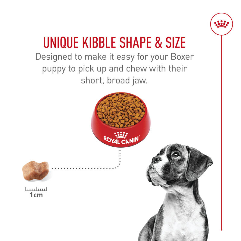 Royal Canin, Breed Health Nutrition Boxer Puppy - Dry Dog Food image number null