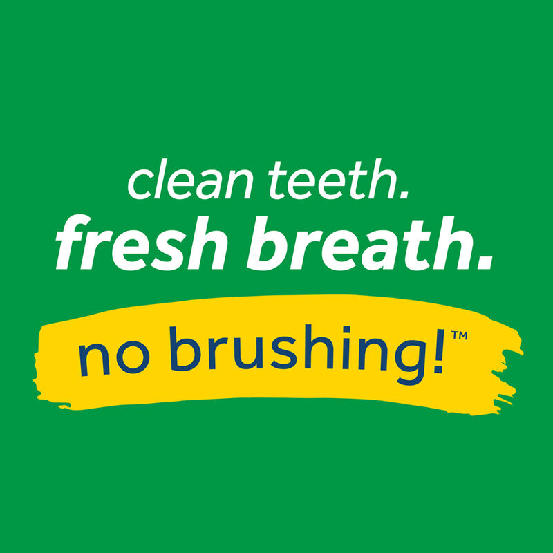 Tropiclean, Puppy, Dental Fresh Breath - Plaque & Tartar - 16 oz image number null