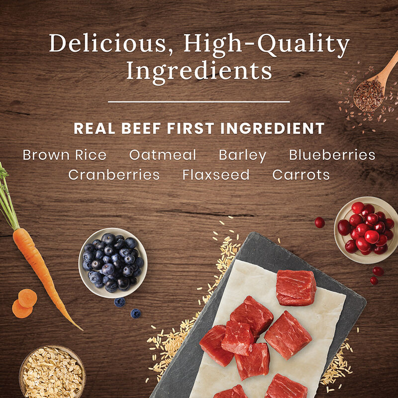 Blue Buffalo, Wilderness - Beef - Dry Dog Food image number null