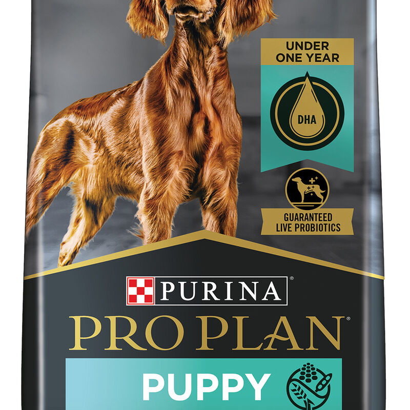 Purina Pro Plan Sensitive Skin & Stomach Puppy  with Probiotics, Salmon & Rice, Dry Dog Food Formula image number null