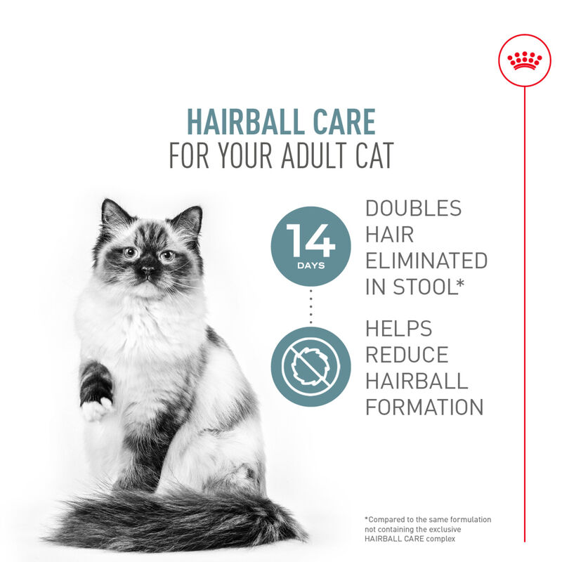 Royal Canin, Feline Care Nutrition Indoor Hairball Care - Dry Cat Food image number null