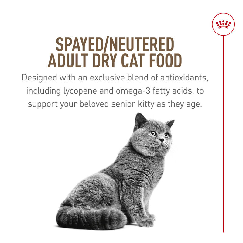 Royal Canin, Feline Health Nutrition Aging Spayed / Neutered 12+ Dry Adult - Dry Cat Food image number null
