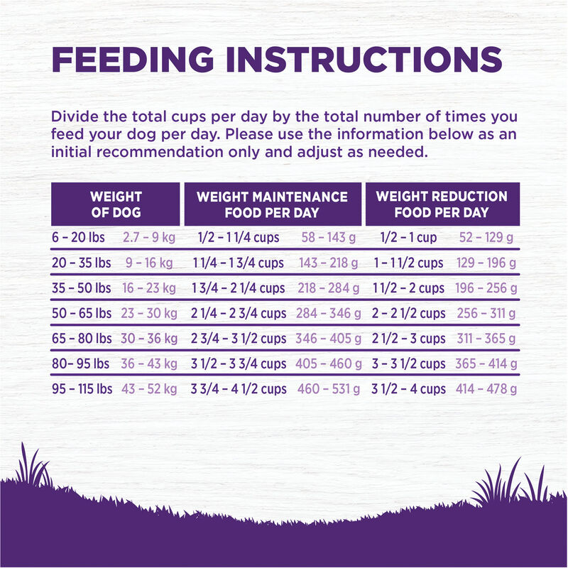 Wellness, Adult Complete Health - Healthy Weight Deboned Chicken & Peas - 10.9 kg - Dry Dog Food image number null