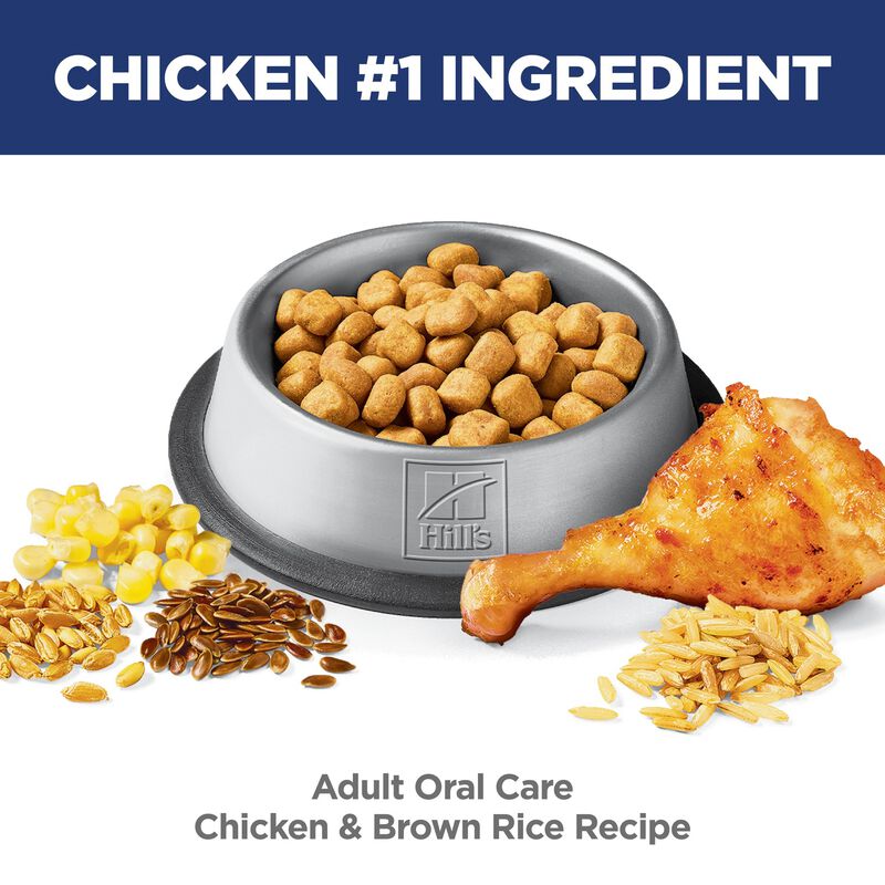 Science Diet, Adult Oral Care Chicken Recipe - Dry Cat Food image number null