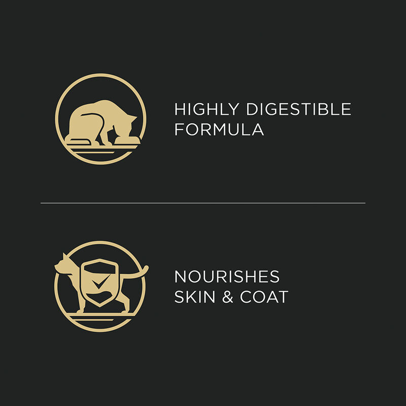 Pro Plan, Grain Free - Sensitive Skin & Stomach Artic Charr 85g - Wet Cat Food image number null